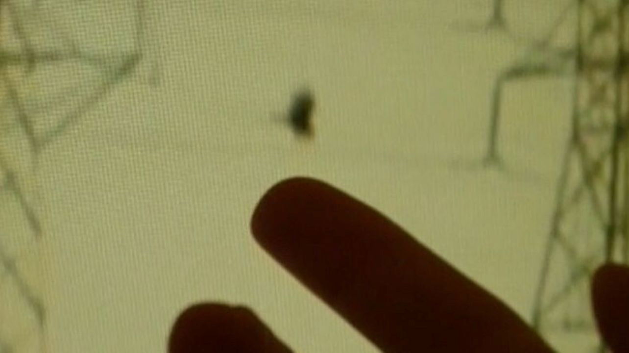 Backdrop for OBJECTS IN THE MIRROR ARE CLOSER THAN THEY APPEAR