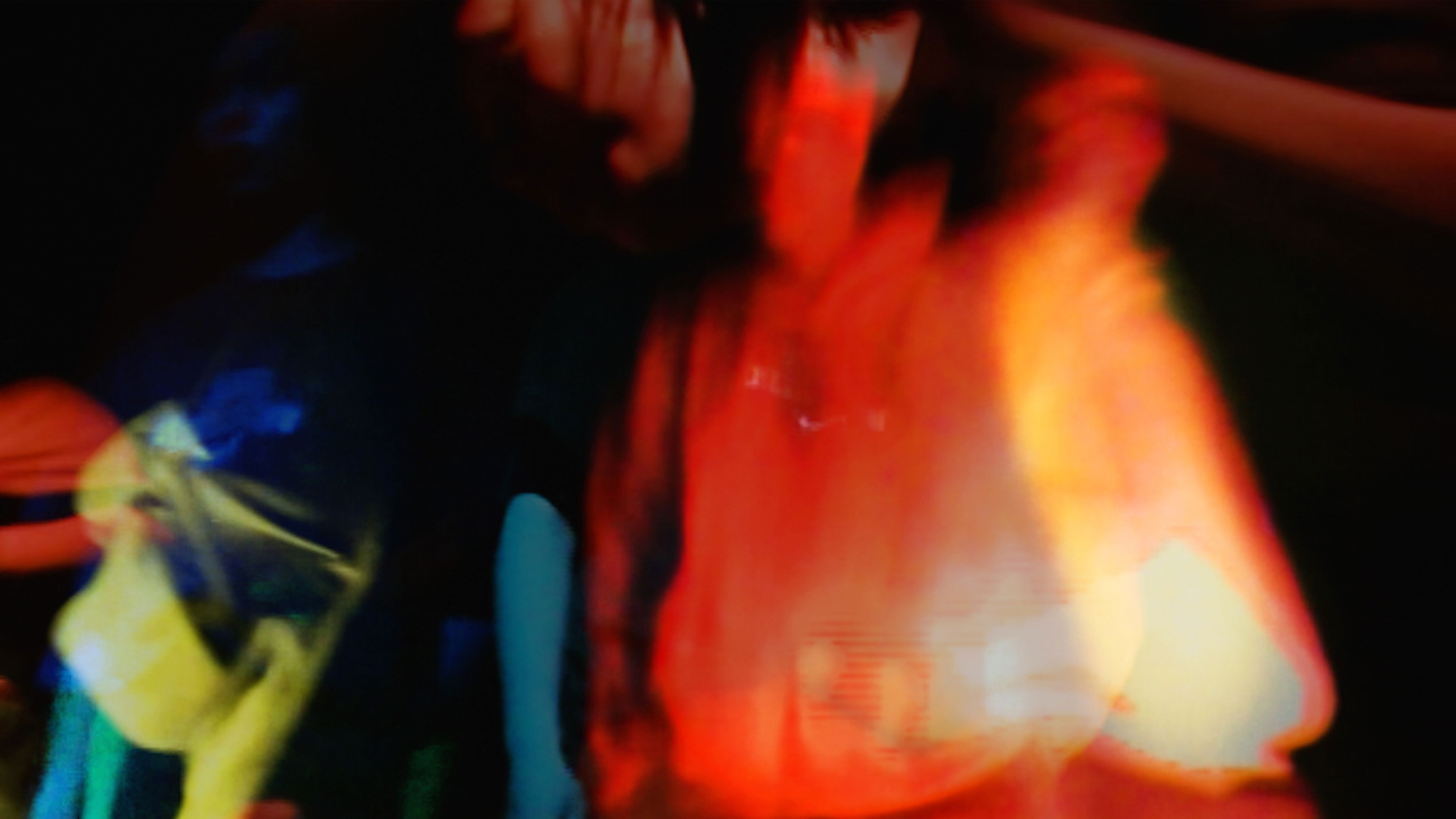 Backdrop for Why Do Ants Go Back To Their Nest?