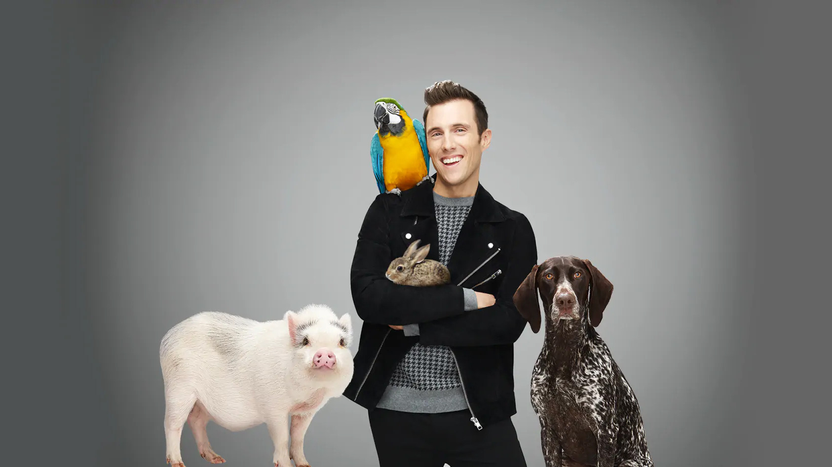 Backdrop for Animania