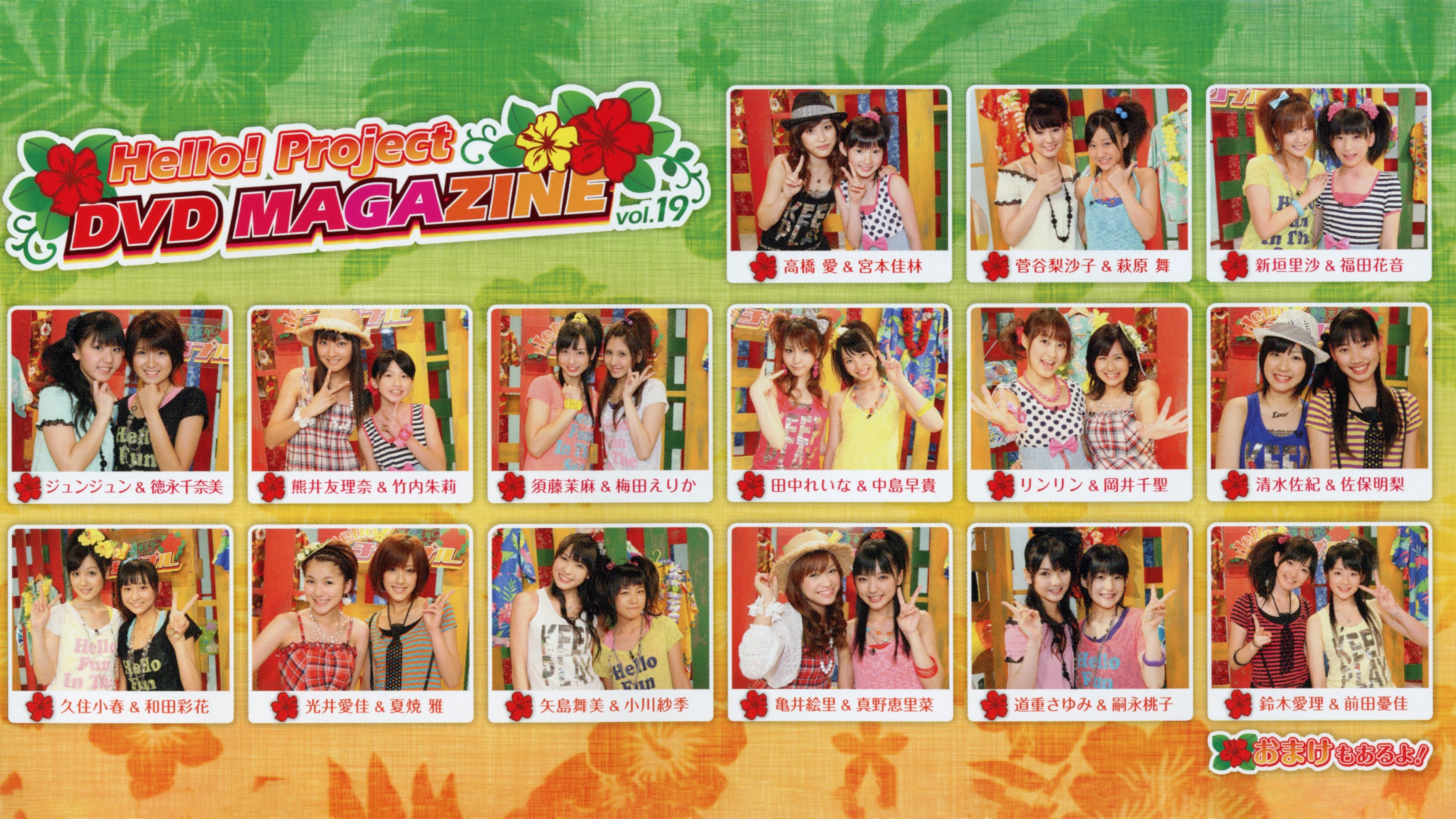 Backdrop for Hello! Project DVD Magazine Vol.19