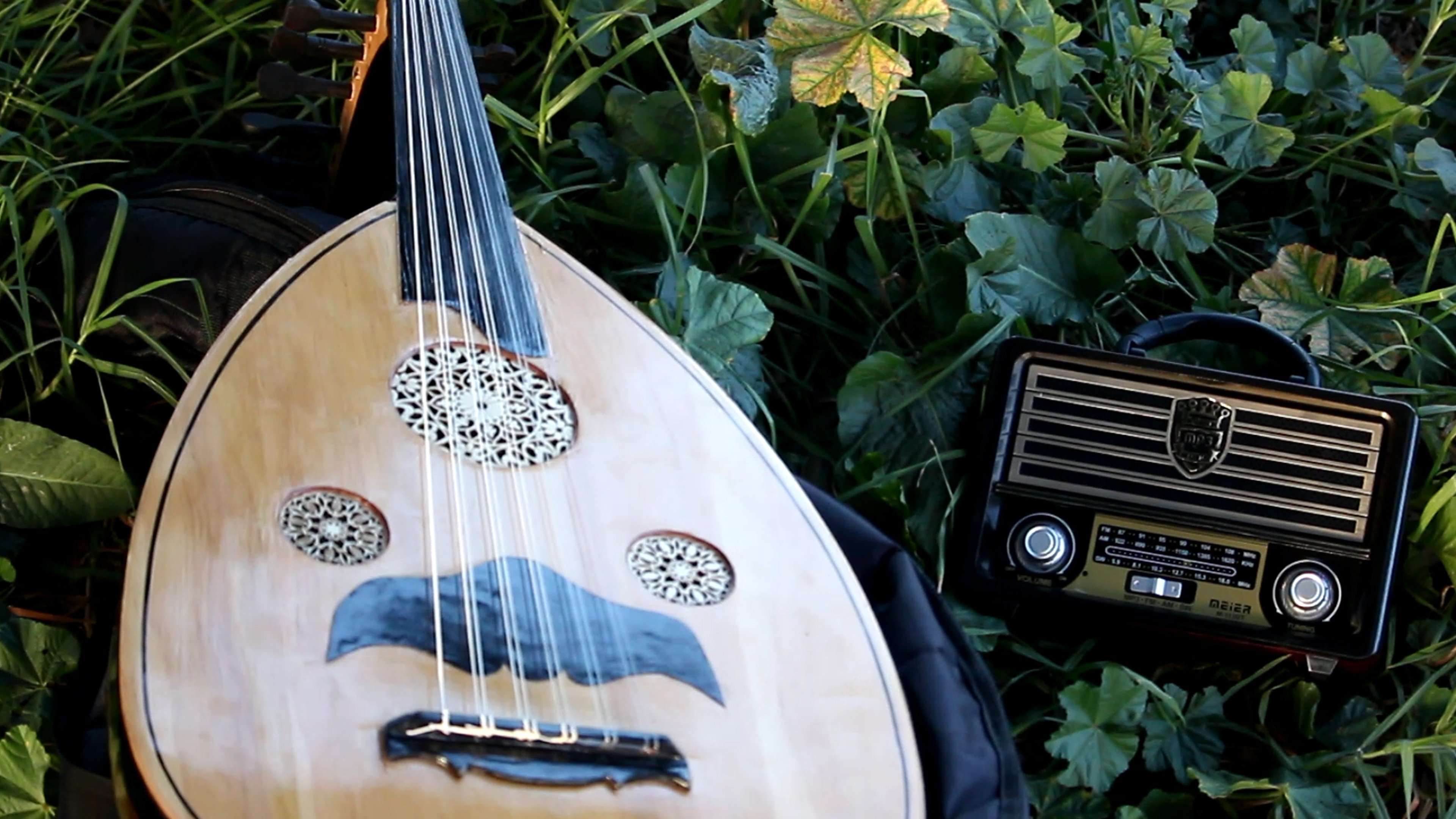 Backdrop for Echoes Of The Heart