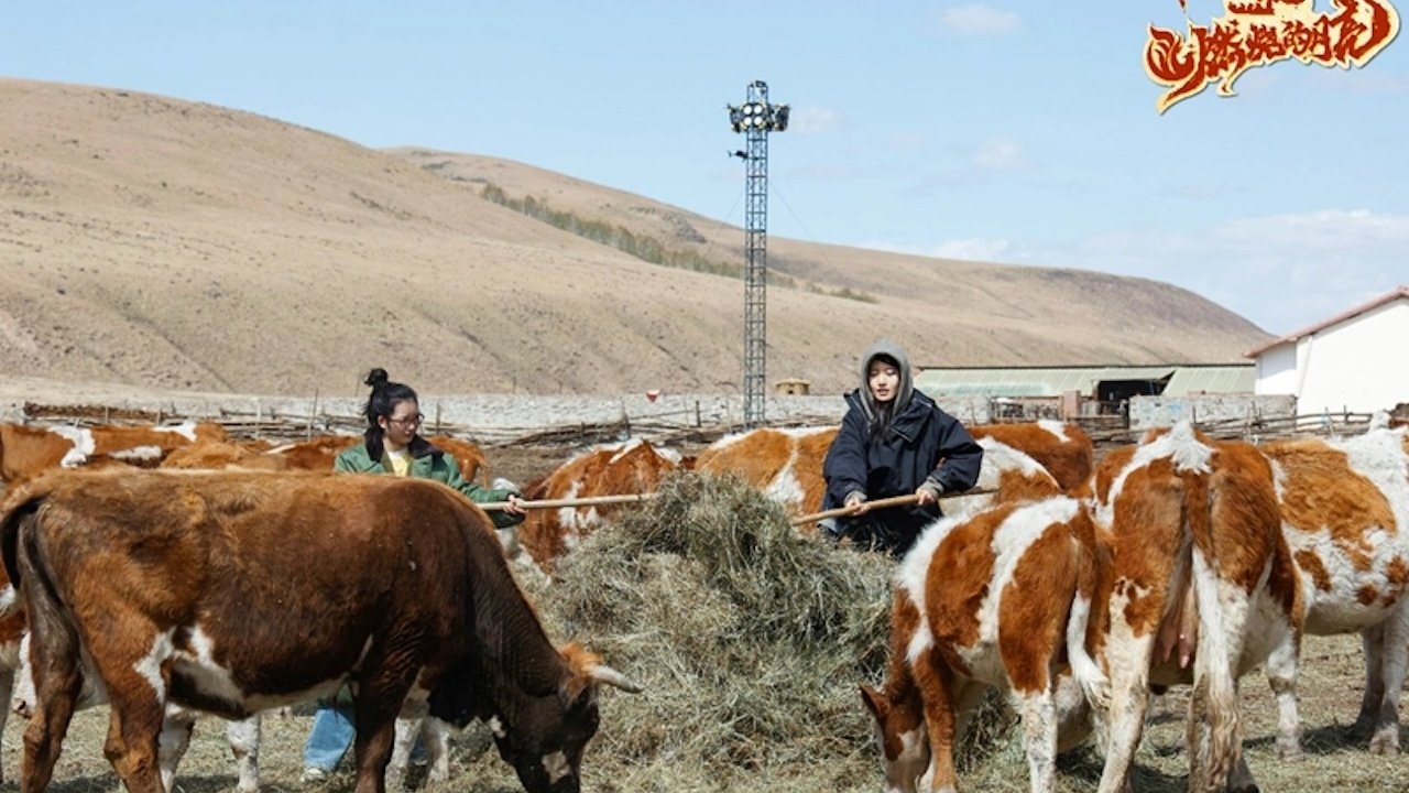 Backdrop for 燃烧的月亮