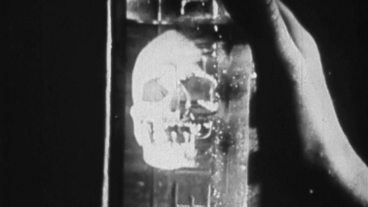 Backdrop for Episodes in the Life of a Gin Bottle