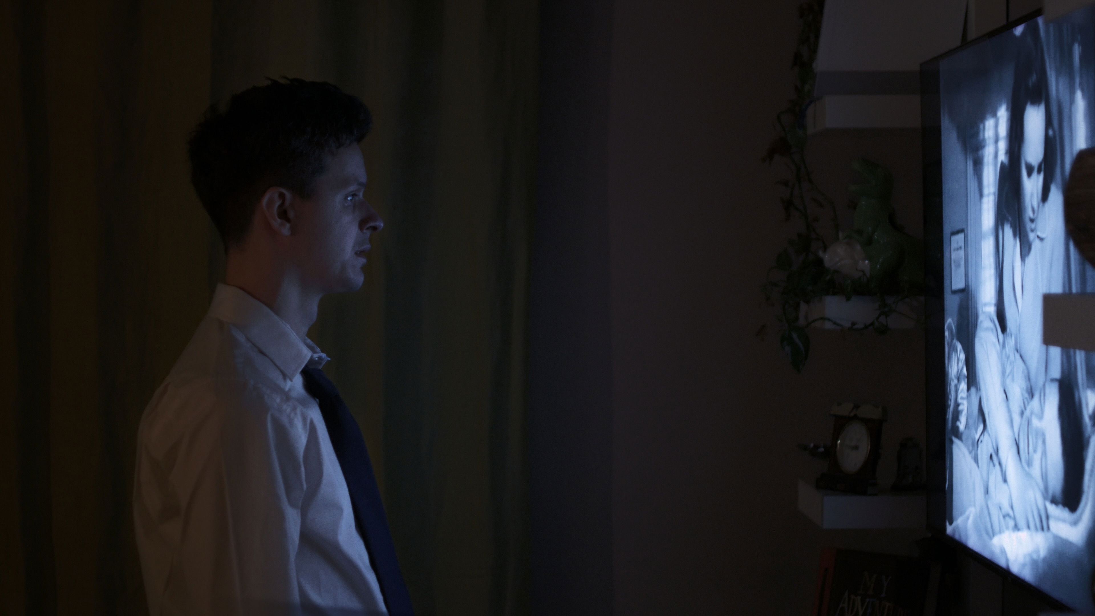 Backdrop for Shadows on the Glass