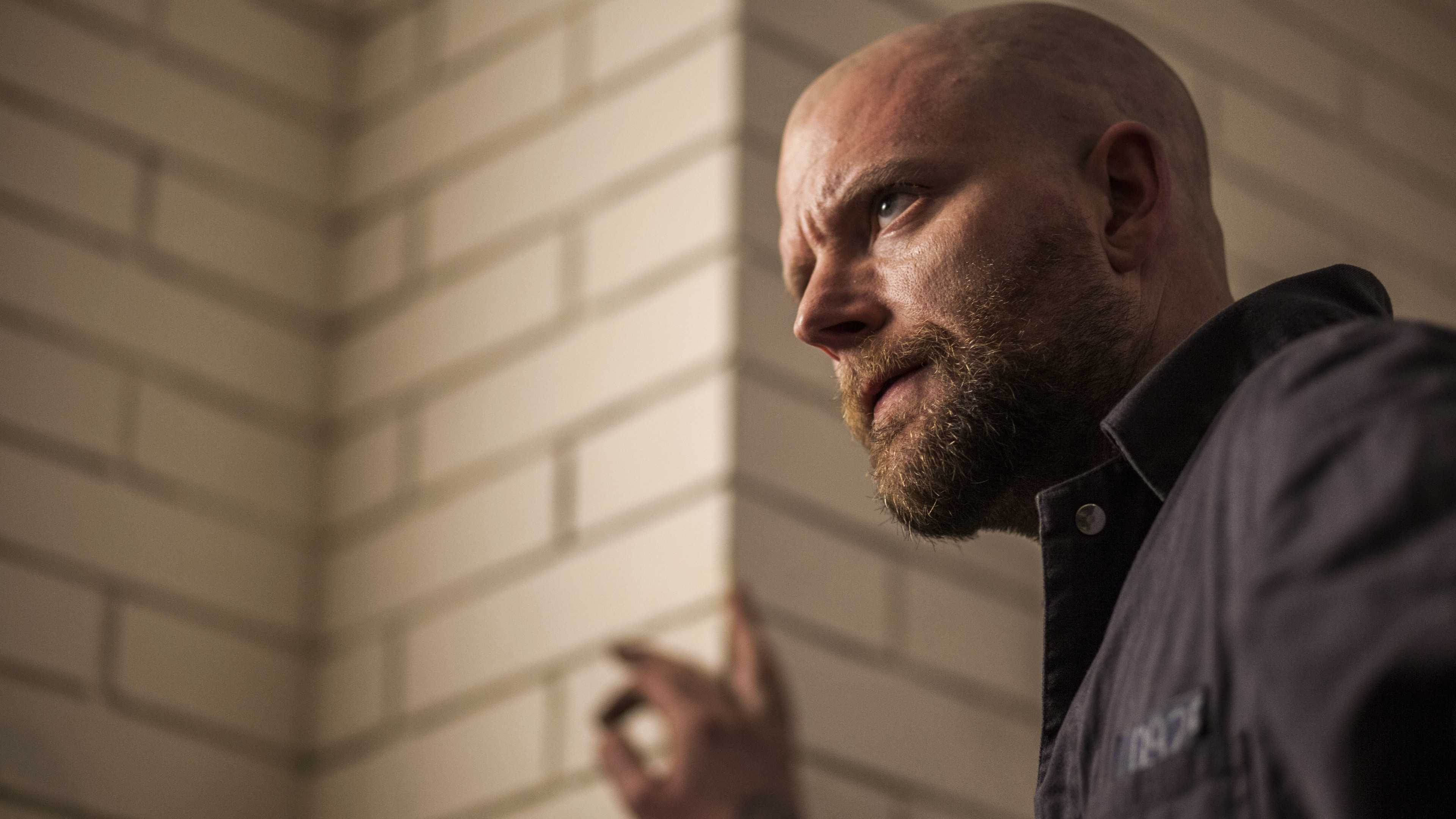 Backdrop for A Snake Marked