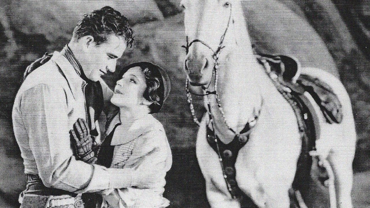 Backdrop for Somewhere in Sonora