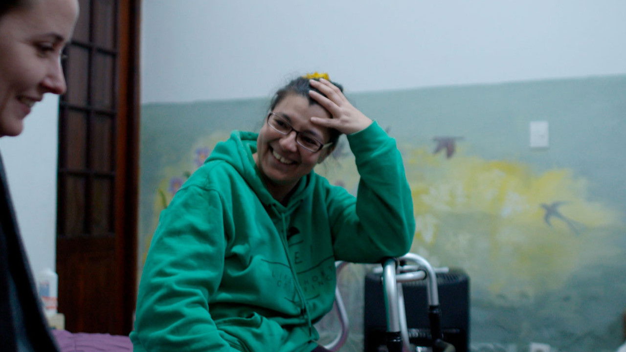 Backdrop for The Fable of the Turtle and the Flower