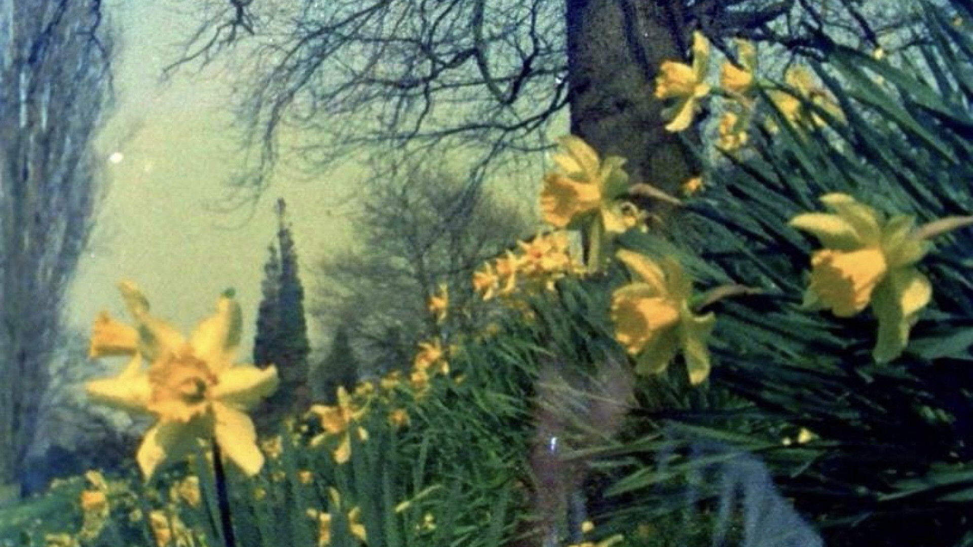 Backdrop for Extracts