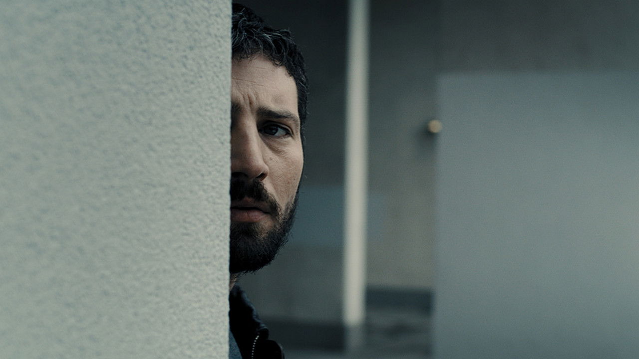 Backdrop for Cracks in Concrete