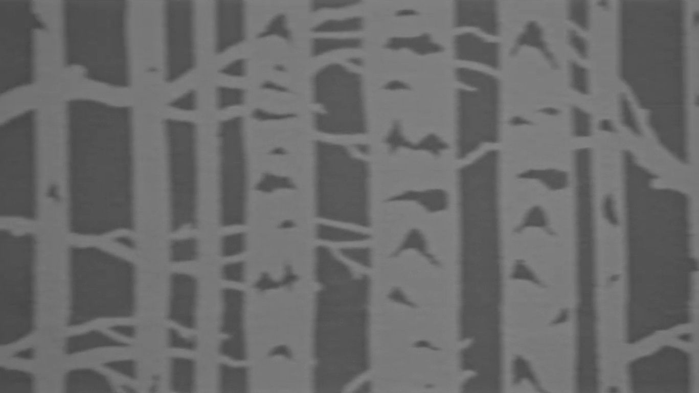 Backdrop for Echo Awake