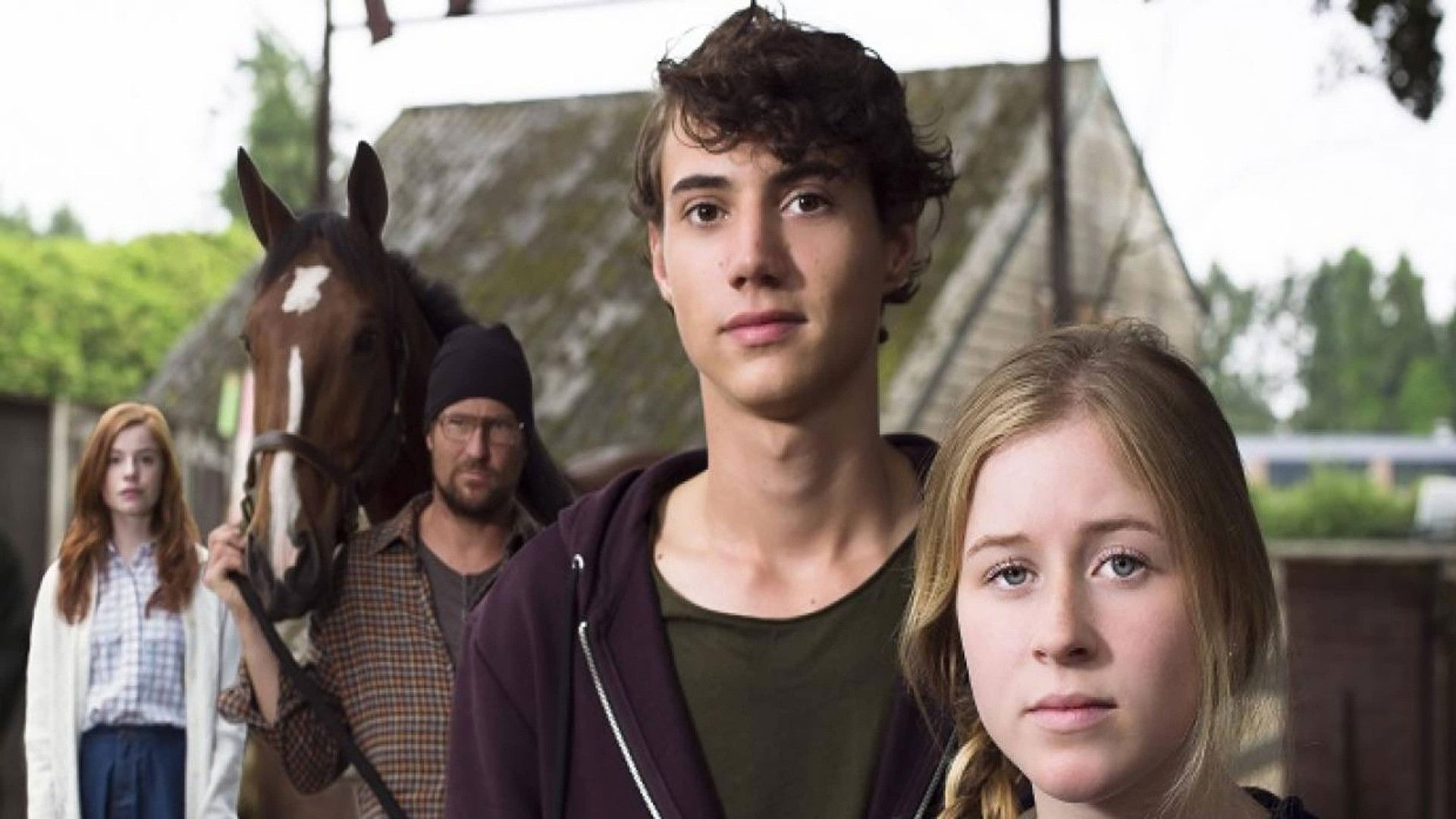 Backdrop for De Vloek van Manege Pegasus