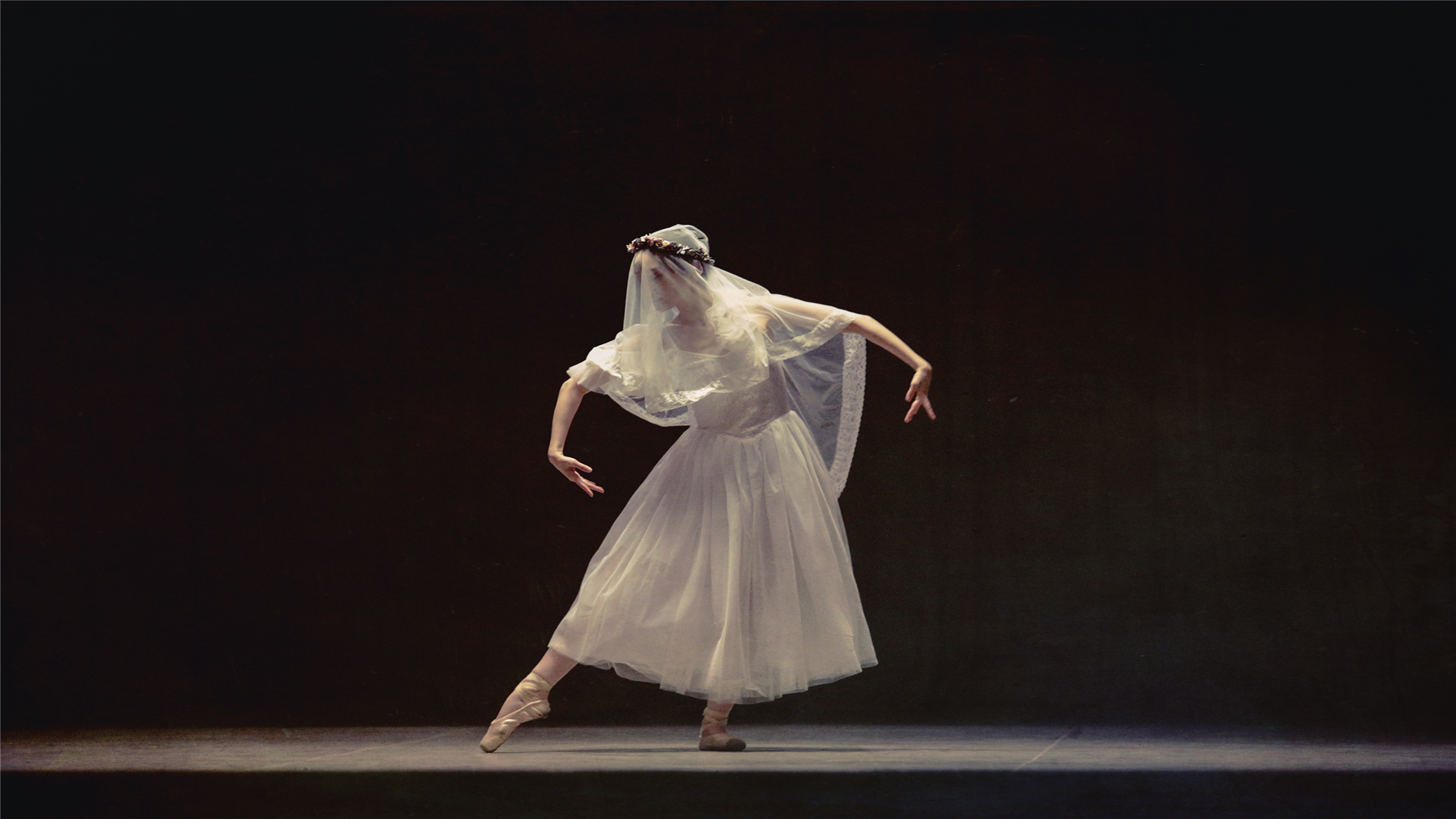 Backdrop for Fading Shadow