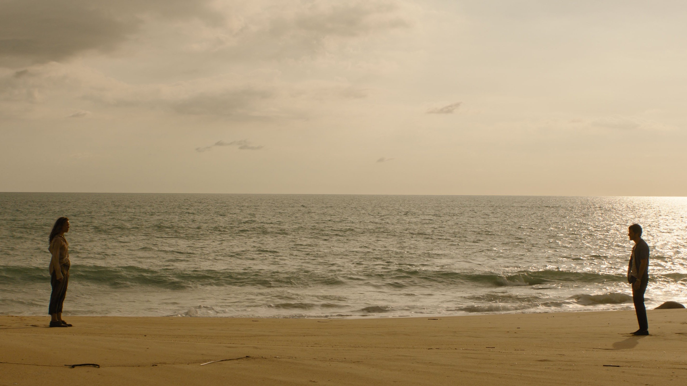 Backdrop for Send Help