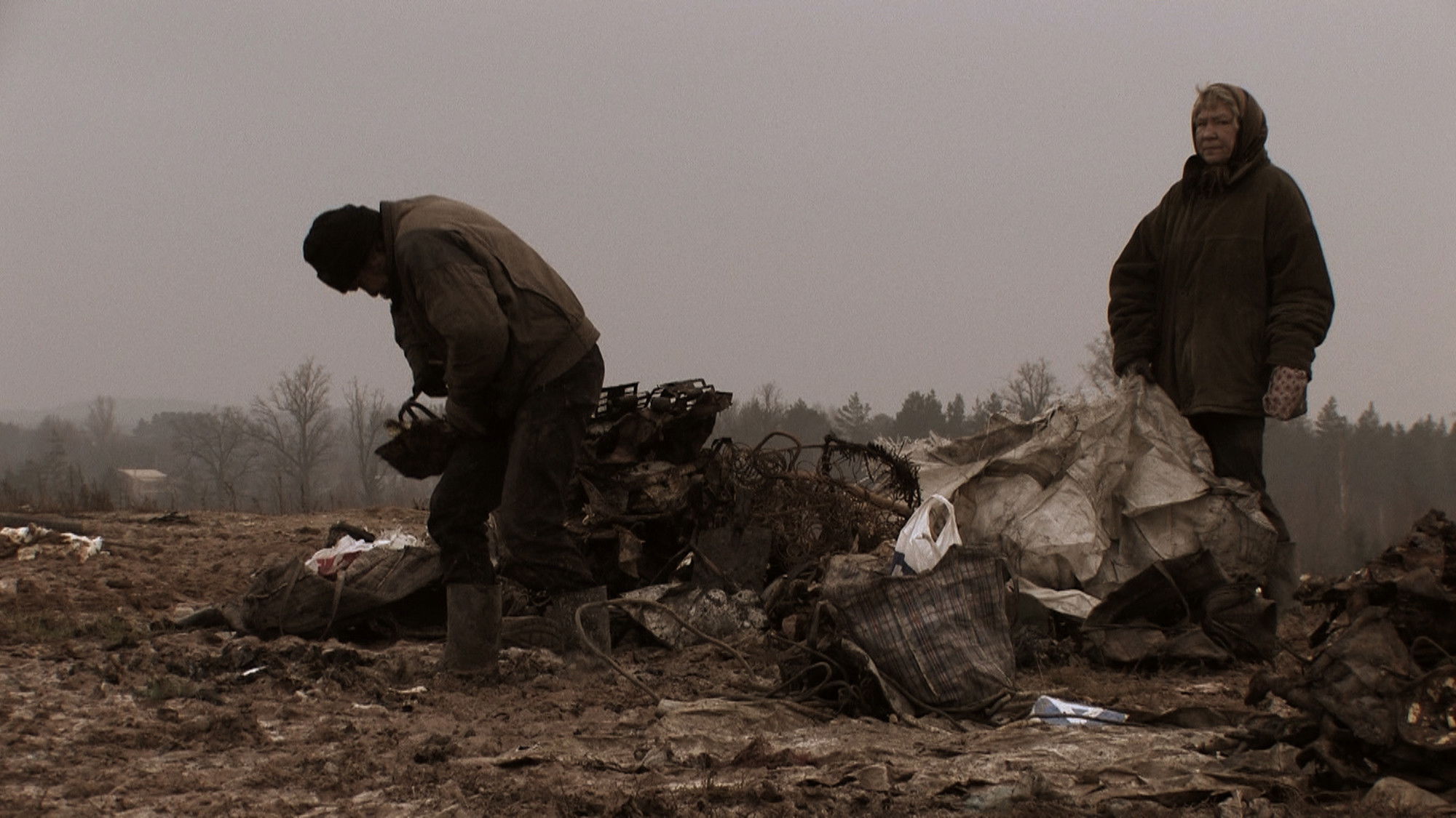 Backdrop for The Field of Magic