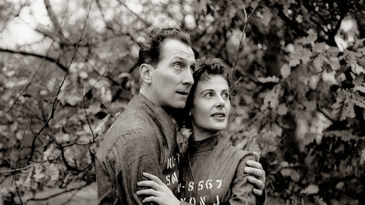 Backdrop for Nineteen Eighty-Four