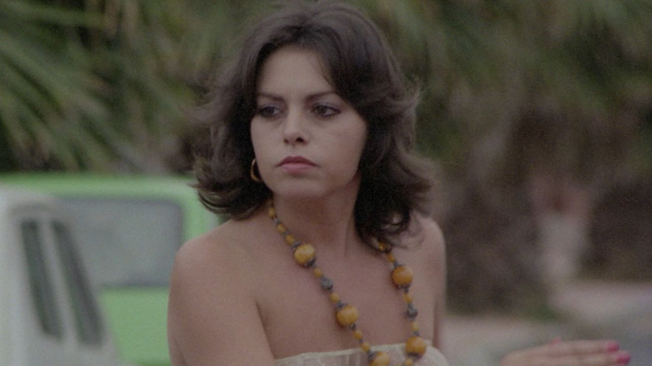 Backdrop for The Night Of Open Sex