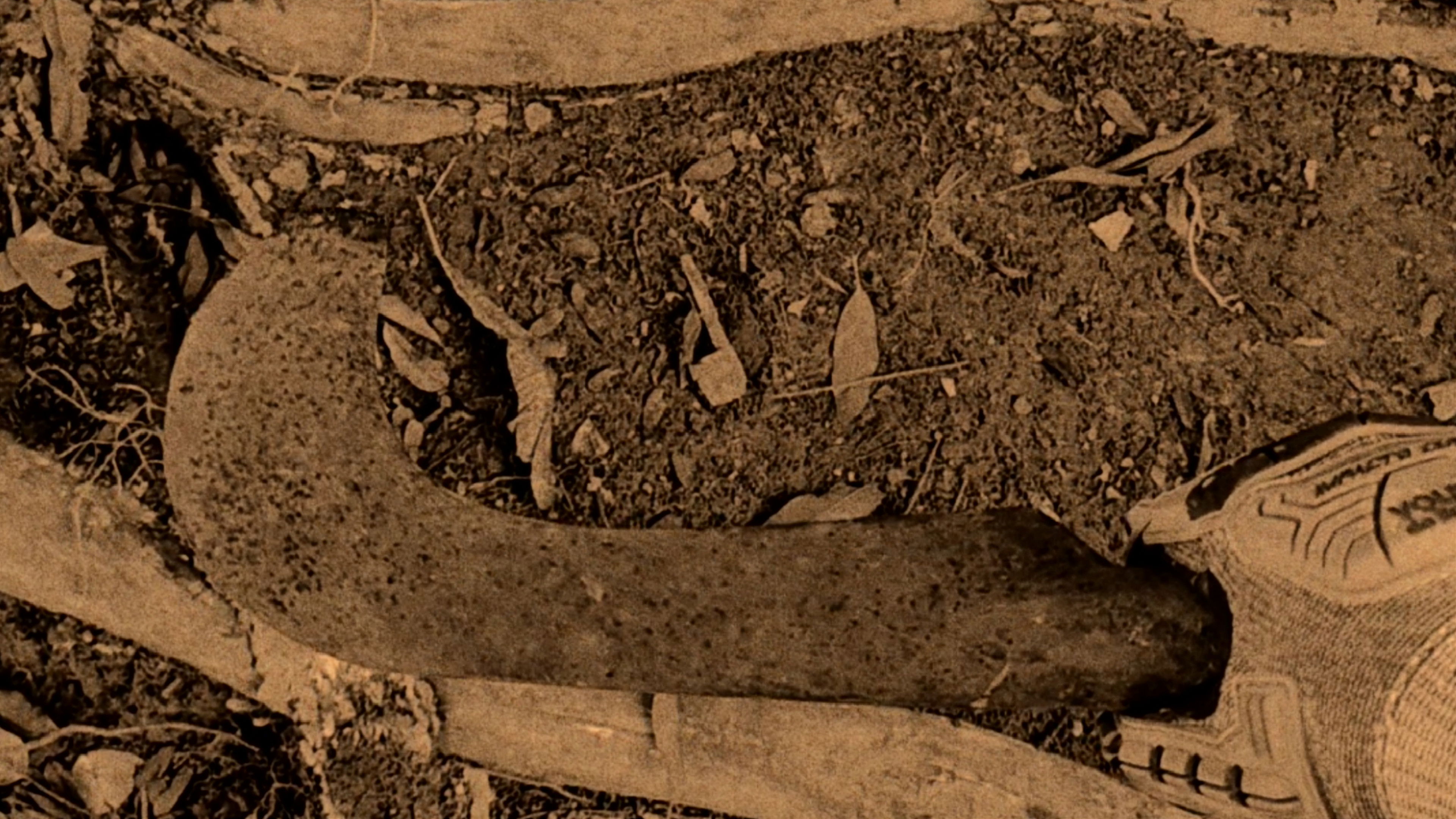 Backdrop for The Executioner's Tears