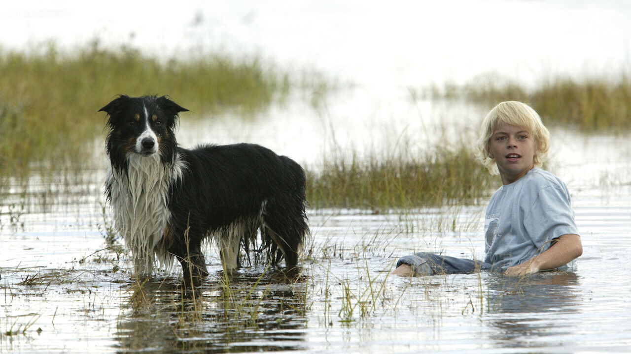 Backdrop for Finding Friends