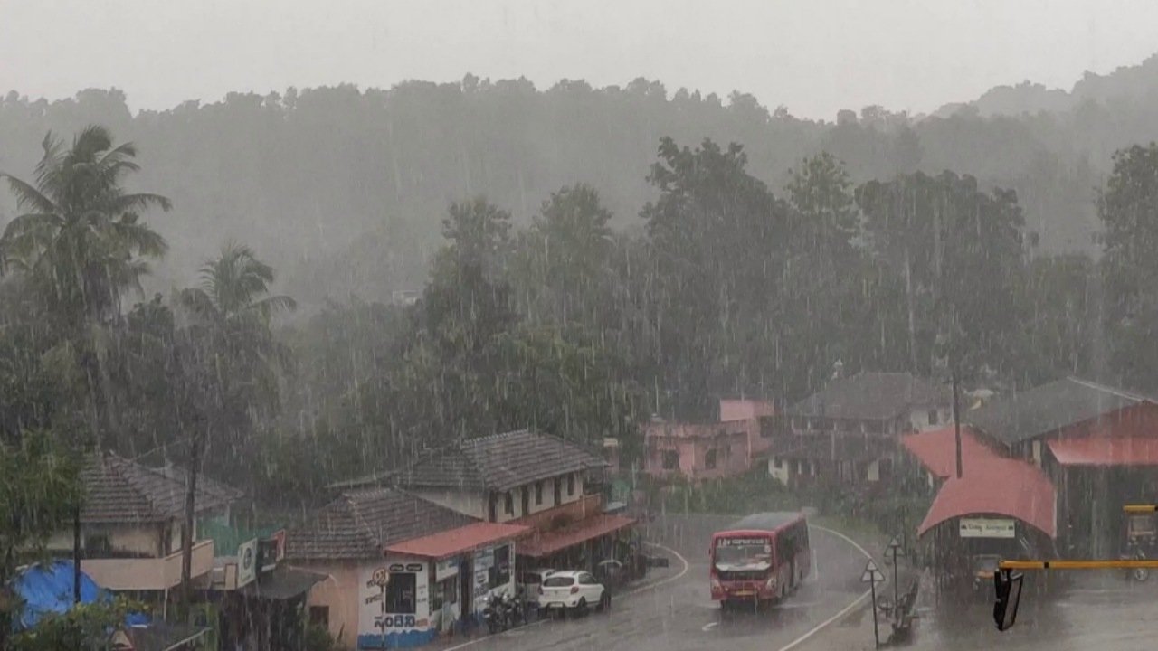 Backdrop for Desiderium