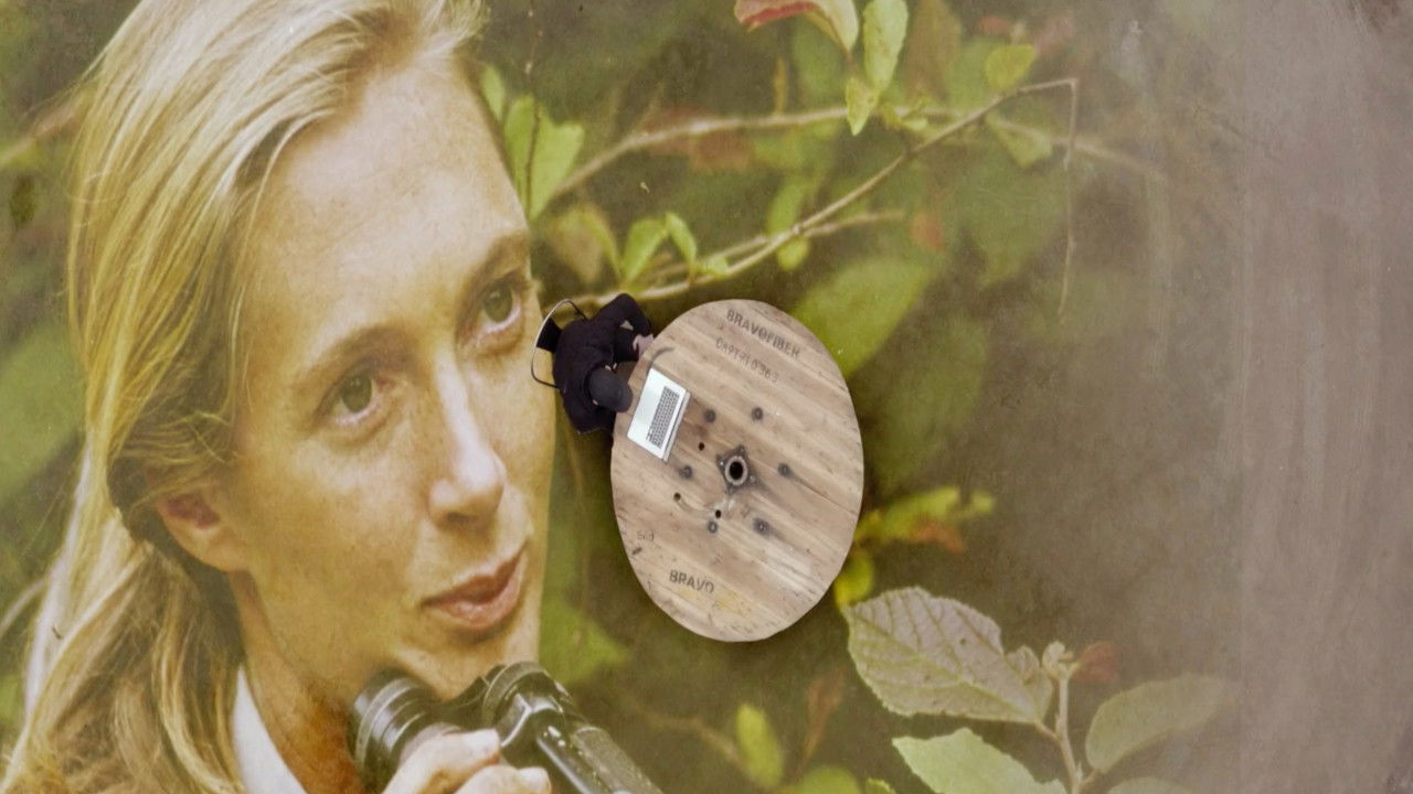 Backdrop for Jane Goodall : Comment sauver les animaux