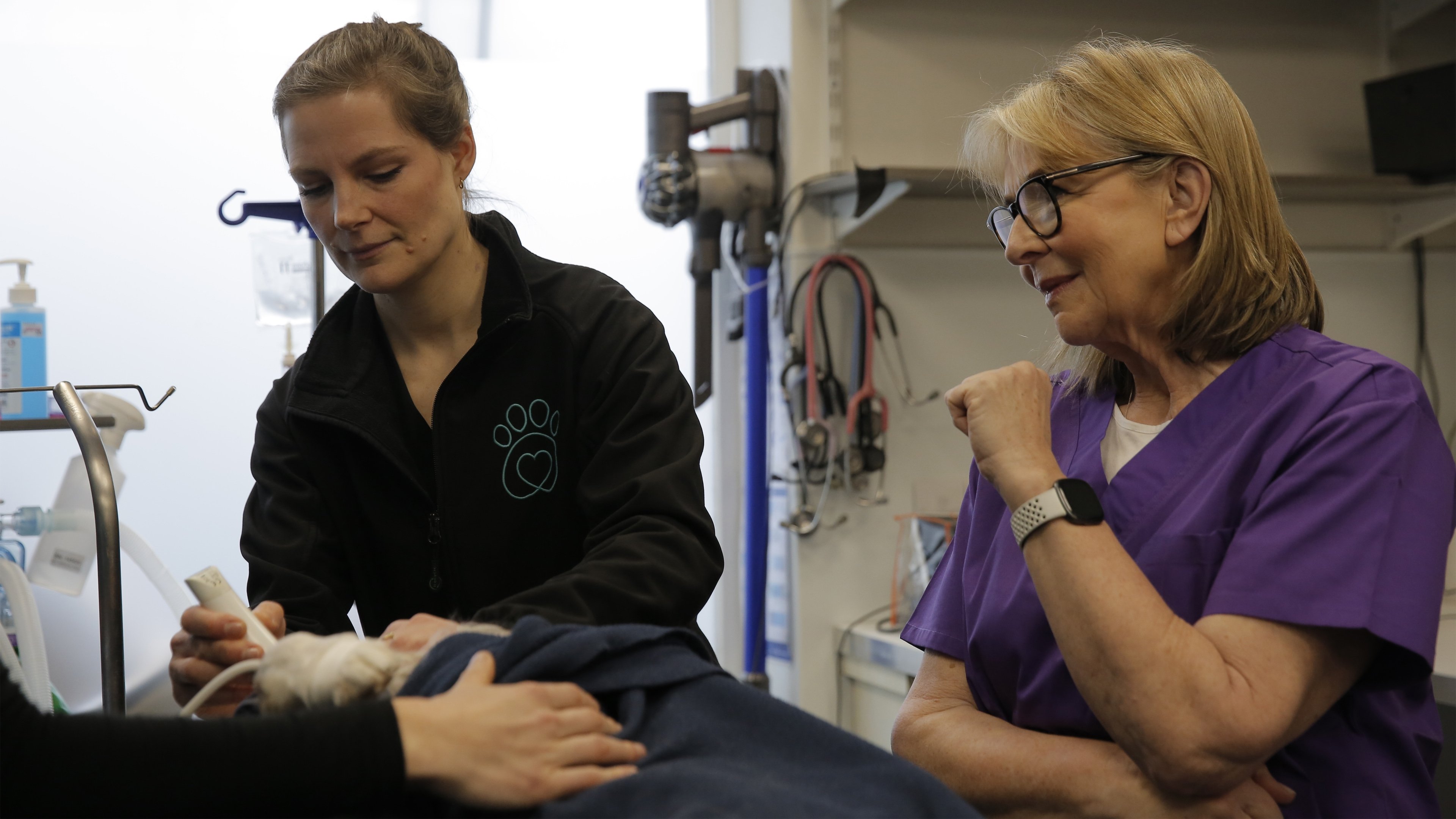 Backdrop for Fern Britton: Inside The Vet's