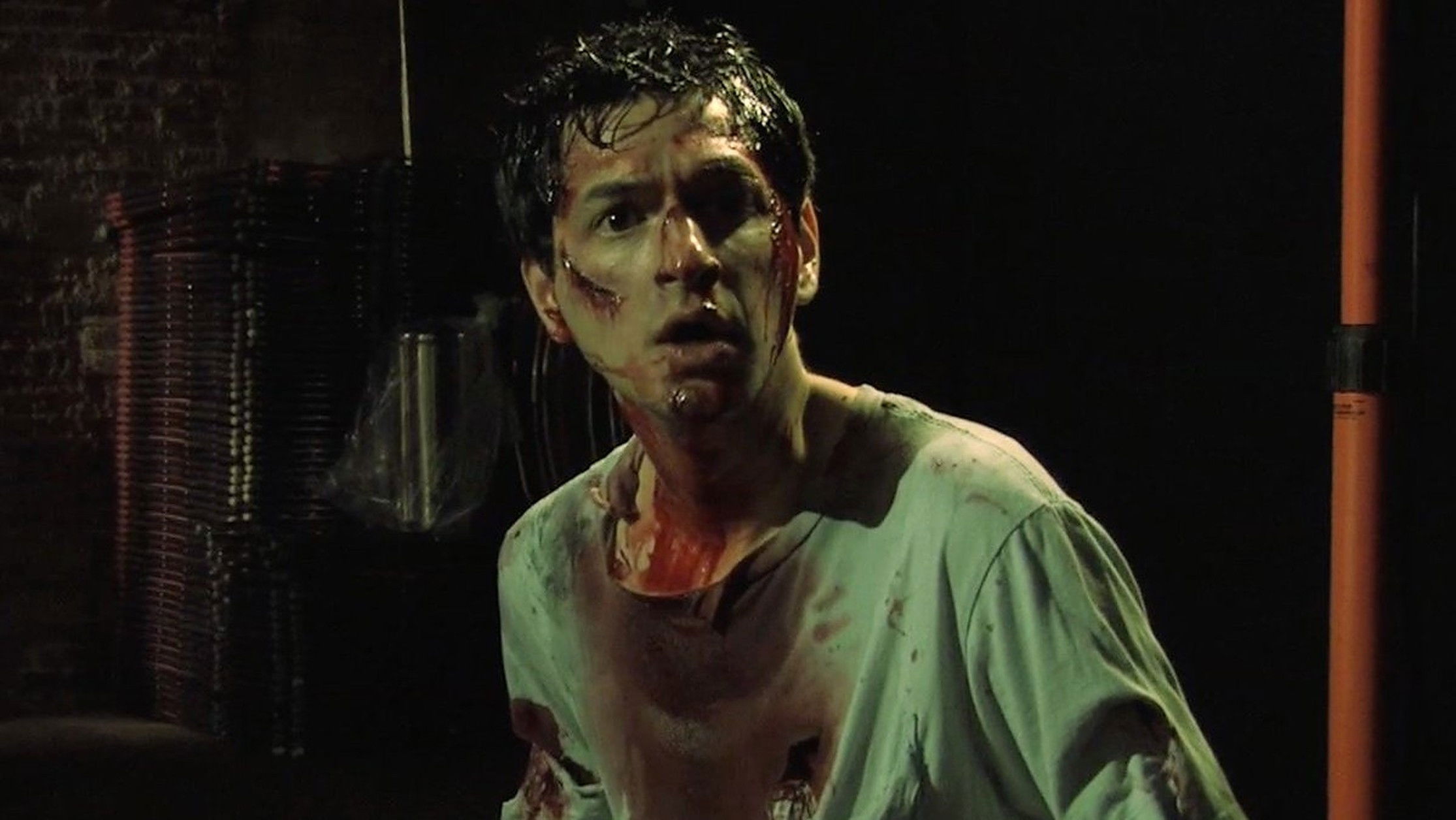 Backdrop for Teddy Saw