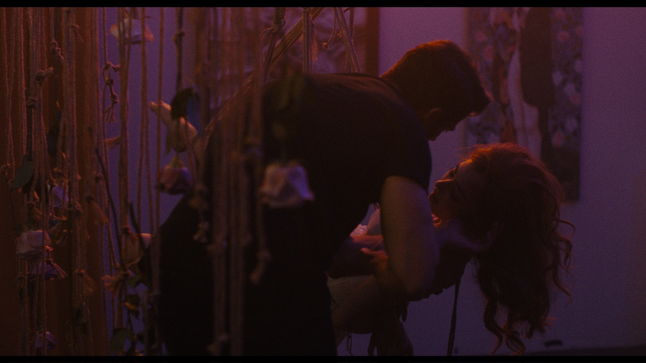 Backdrop for By the Roots