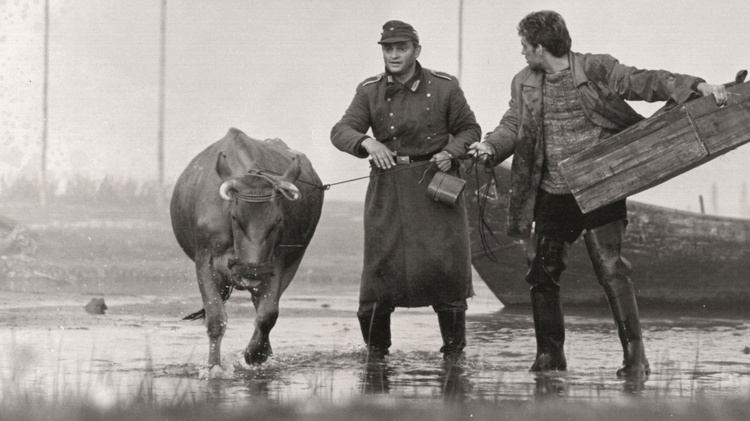 Backdrop for Feelings