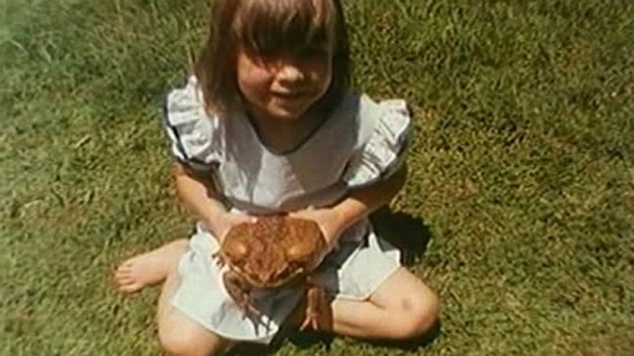 Backdrop for Cane Toads: An Unnatural History