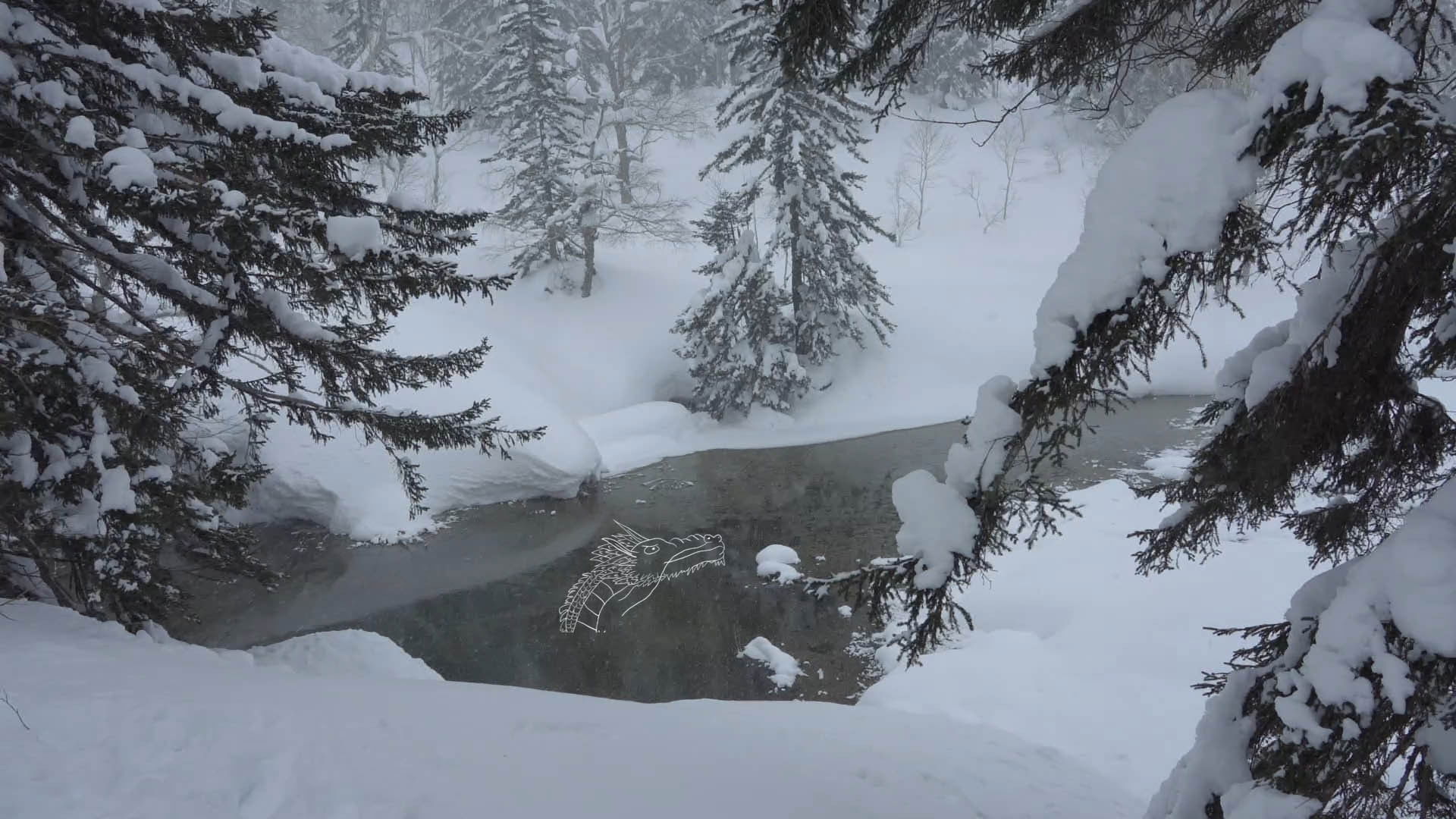 Backdrop for Do you hear the wind in the pine trees?