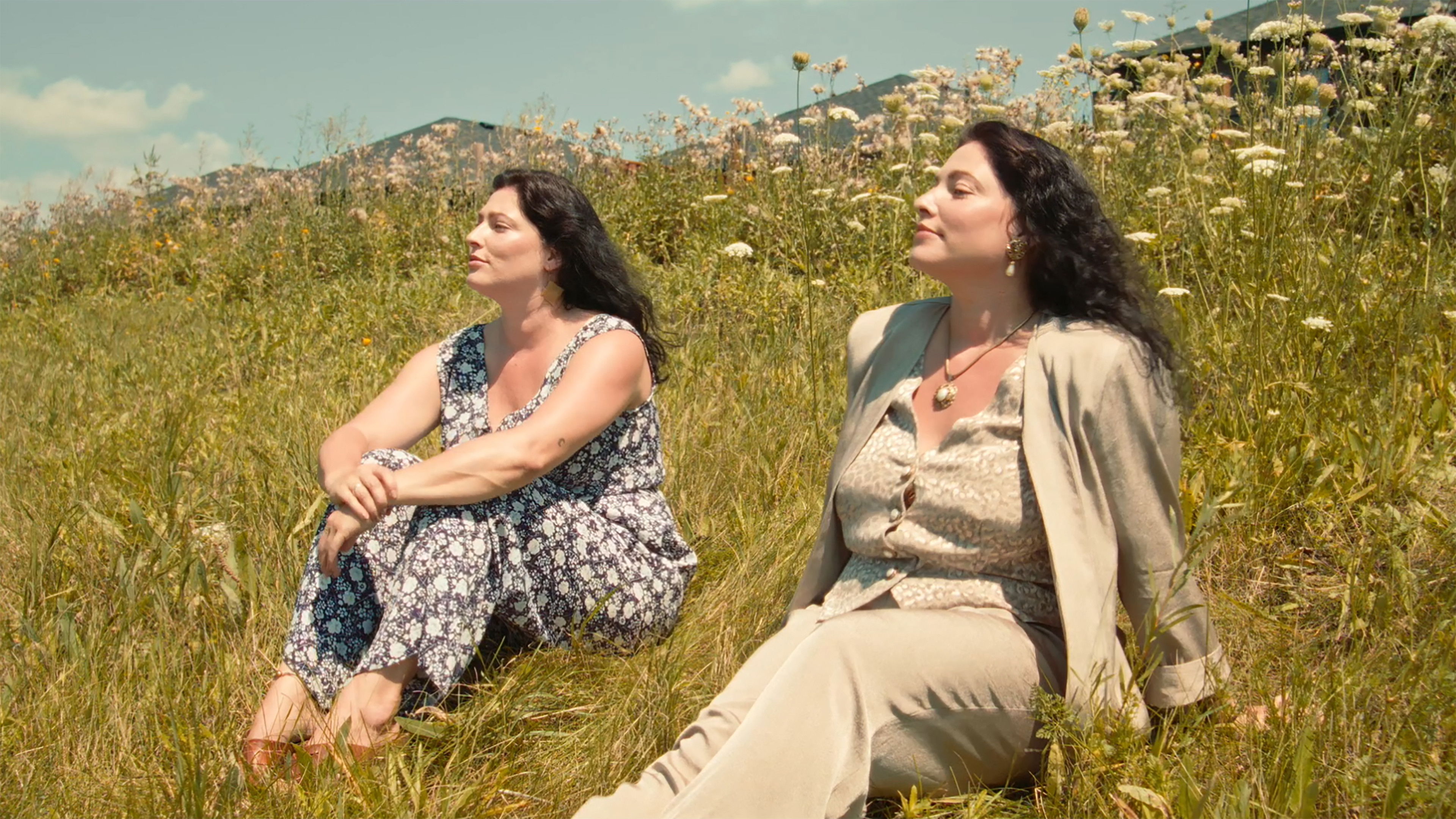 Backdrop for Call of the Blackbird