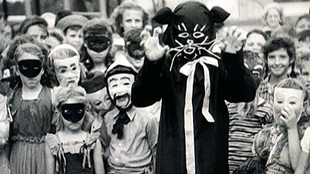 Backdrop for Black Cats and Broomsticks