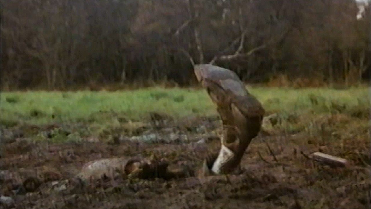 Backdrop for Out of Town