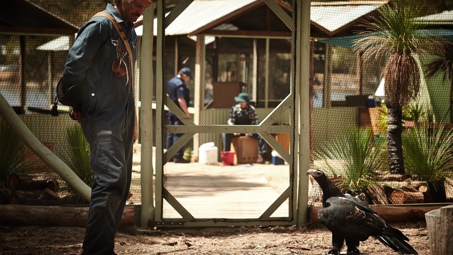 Backdrop for Healing