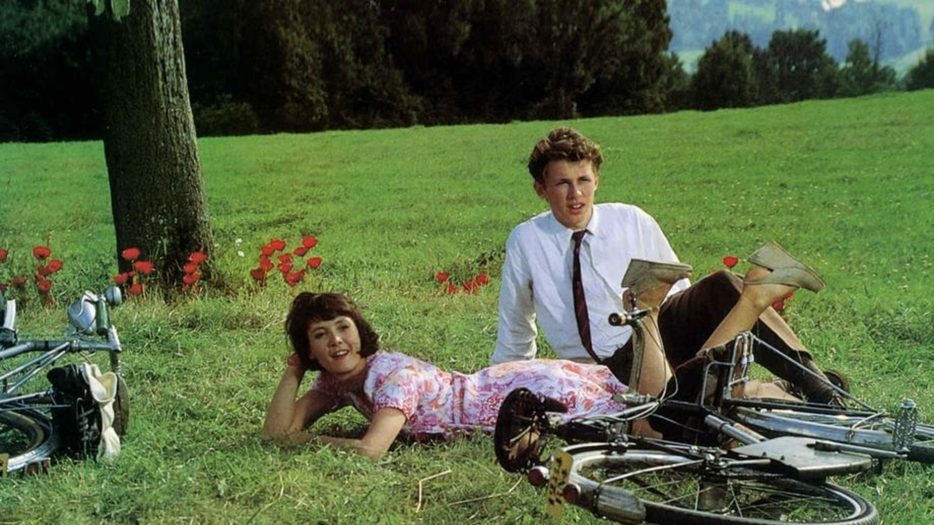 Backdrop for Five Days in June