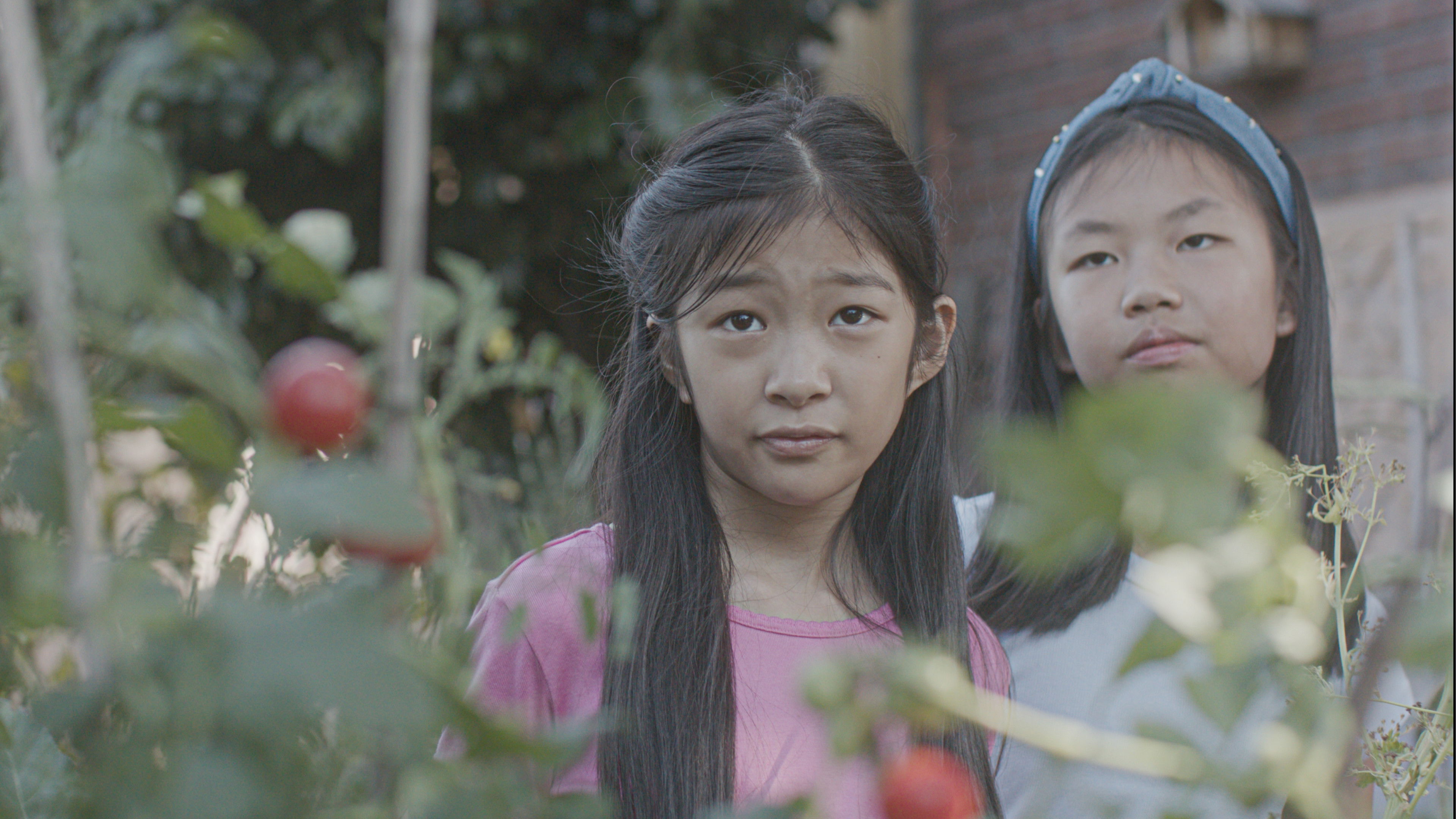 Backdrop for The Garden