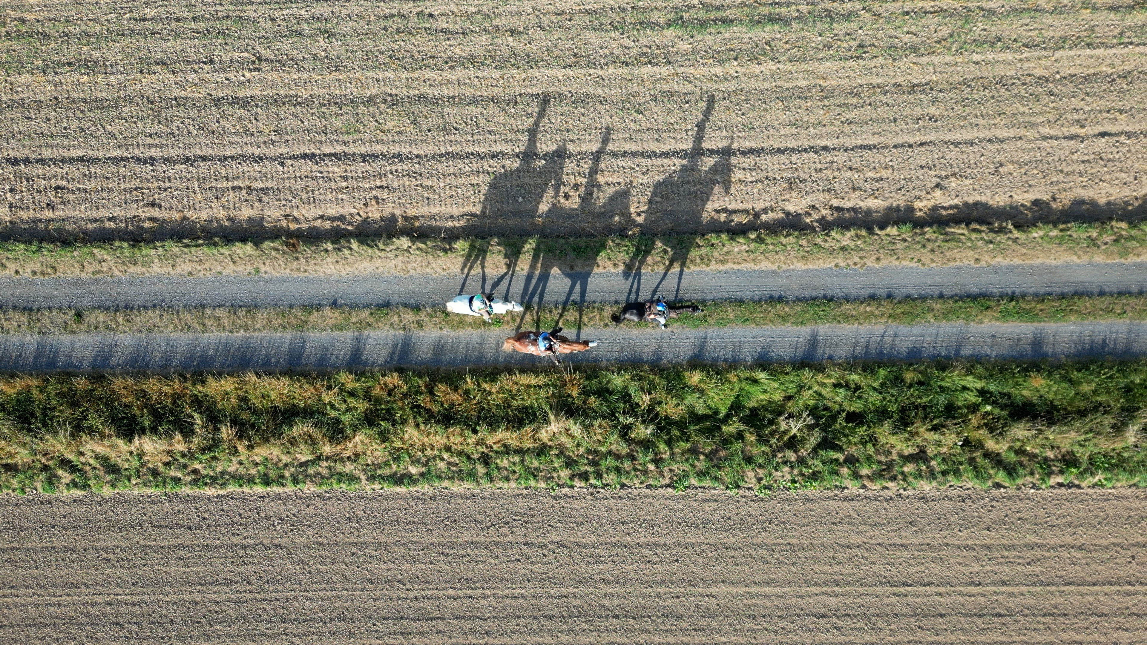 Backdrop for TransGermania - Vom Alpenrand zum Meeresstrand
