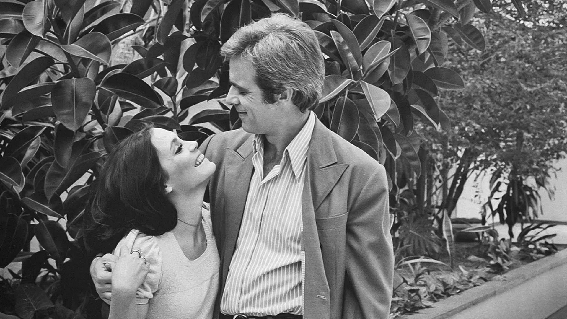 Backdrop for Selva de Pedra