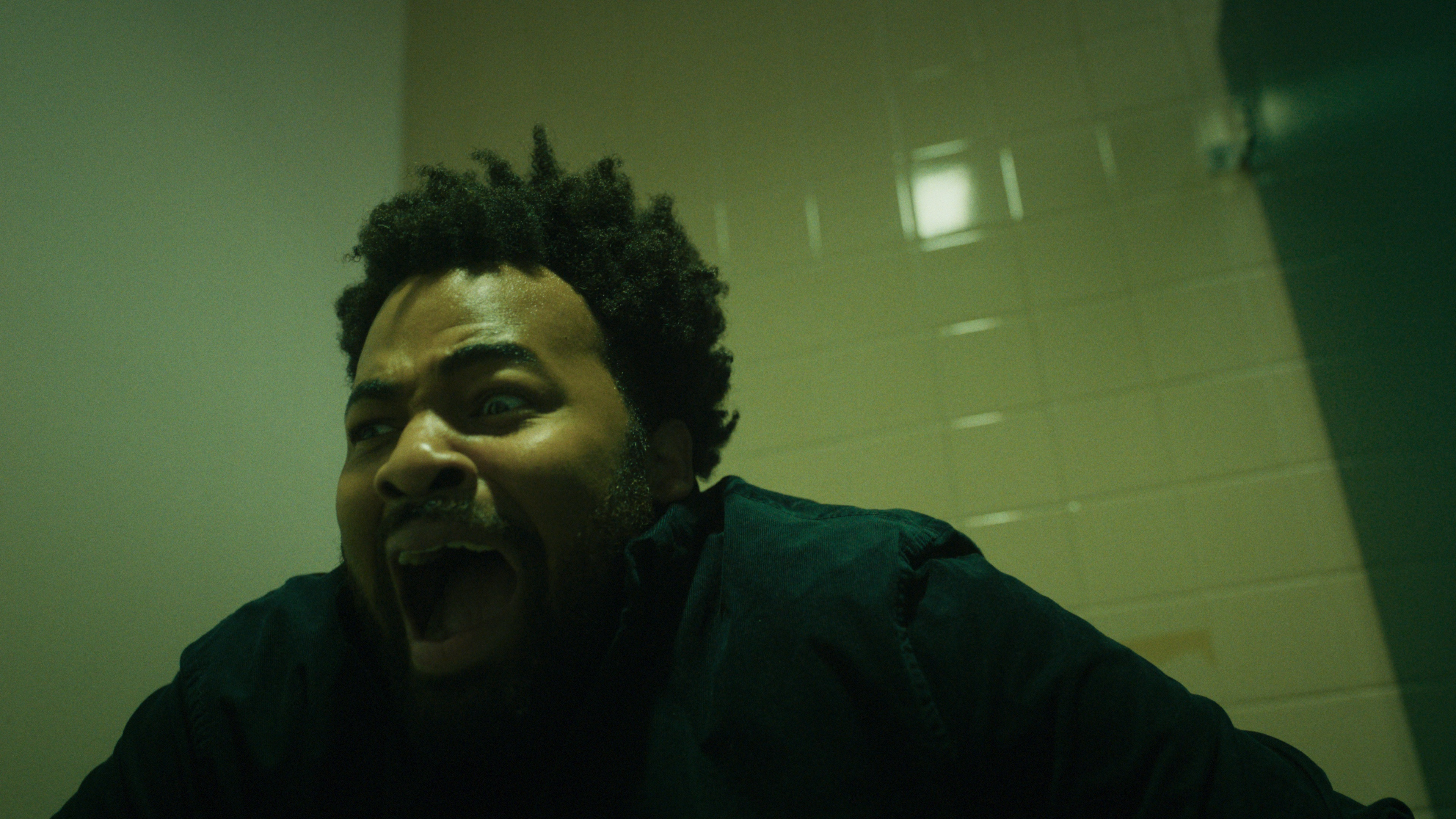 Backdrop for Kombucha!