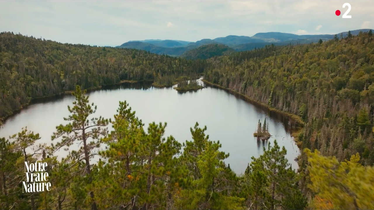 Backdrop for Notre vraie nature