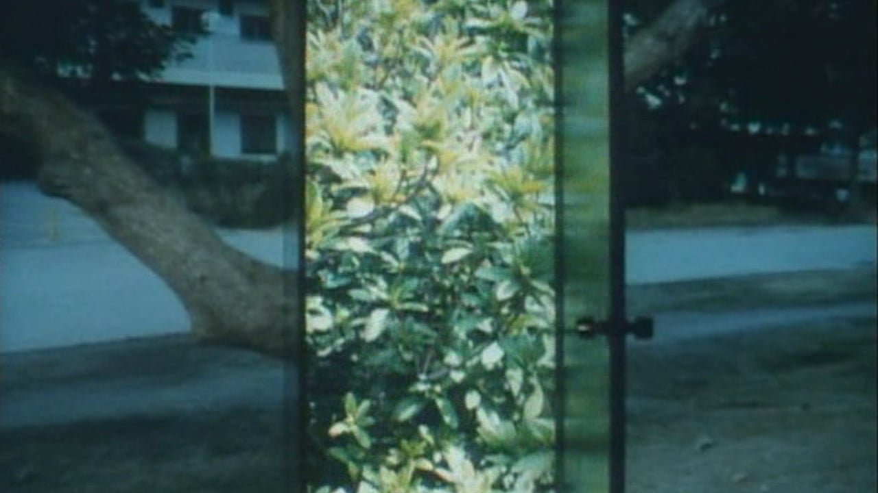 Backdrop for The Moon