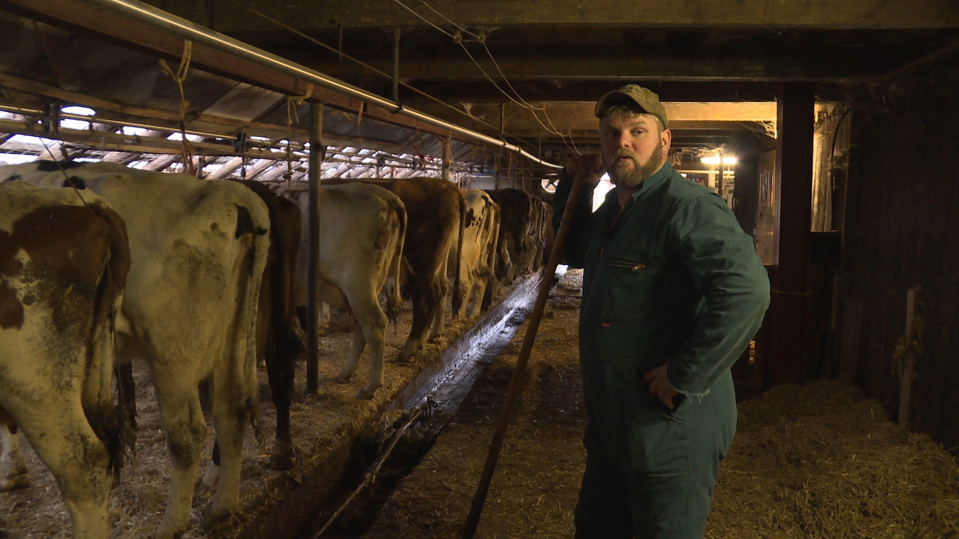 Backdrop for Veearts Maaike