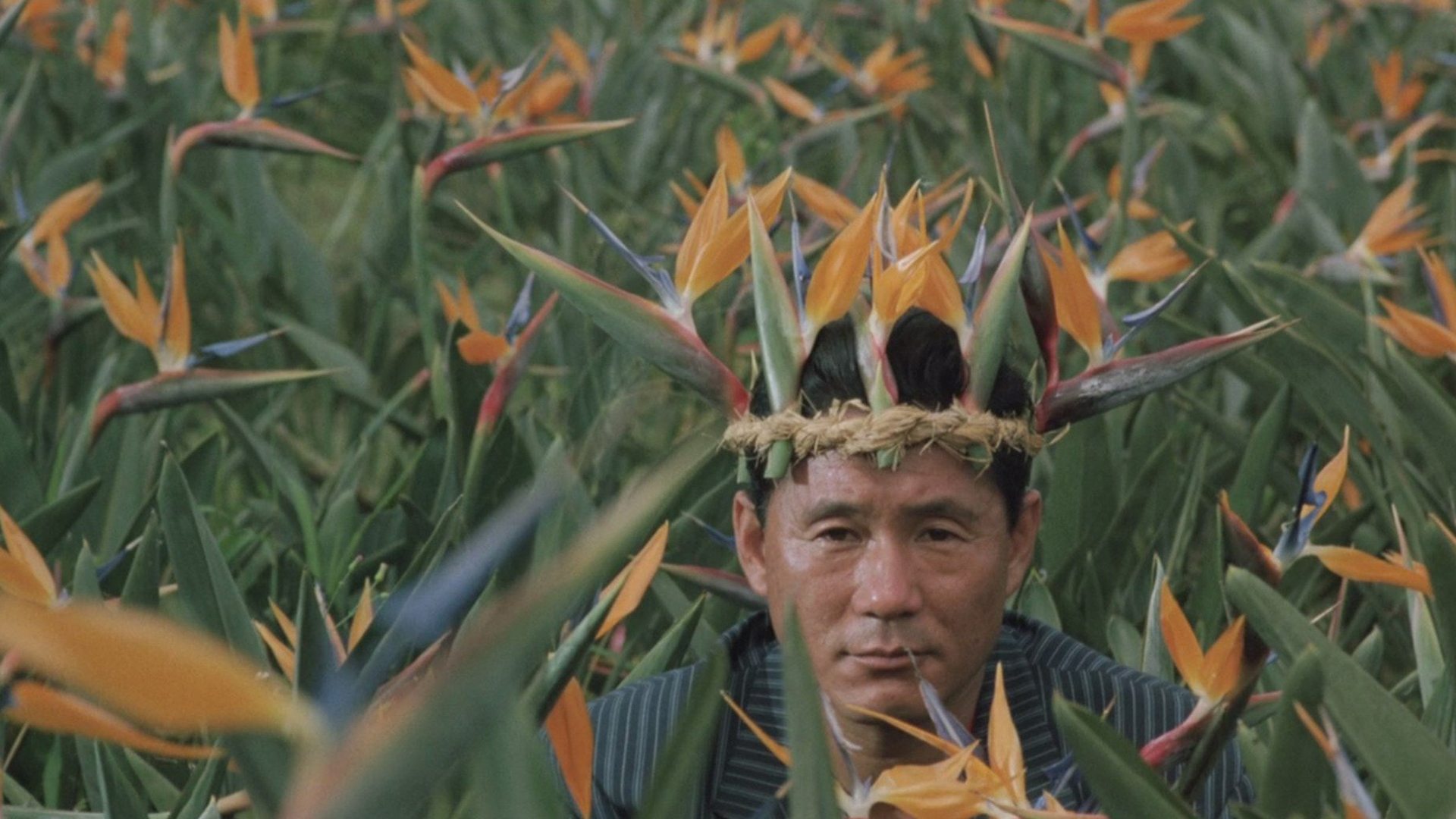 Backdrop for Boiling Point