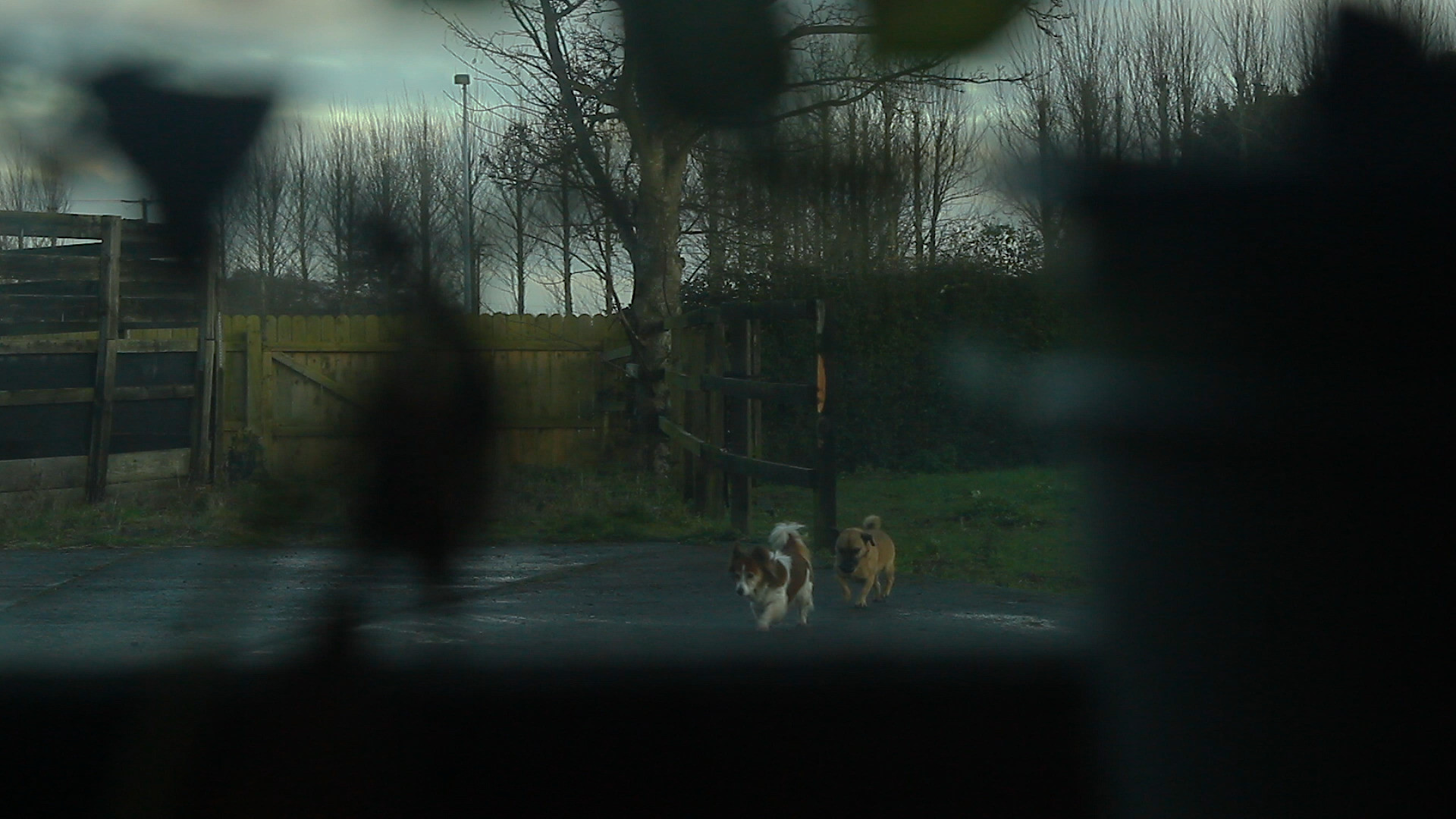 Backdrop for square one.