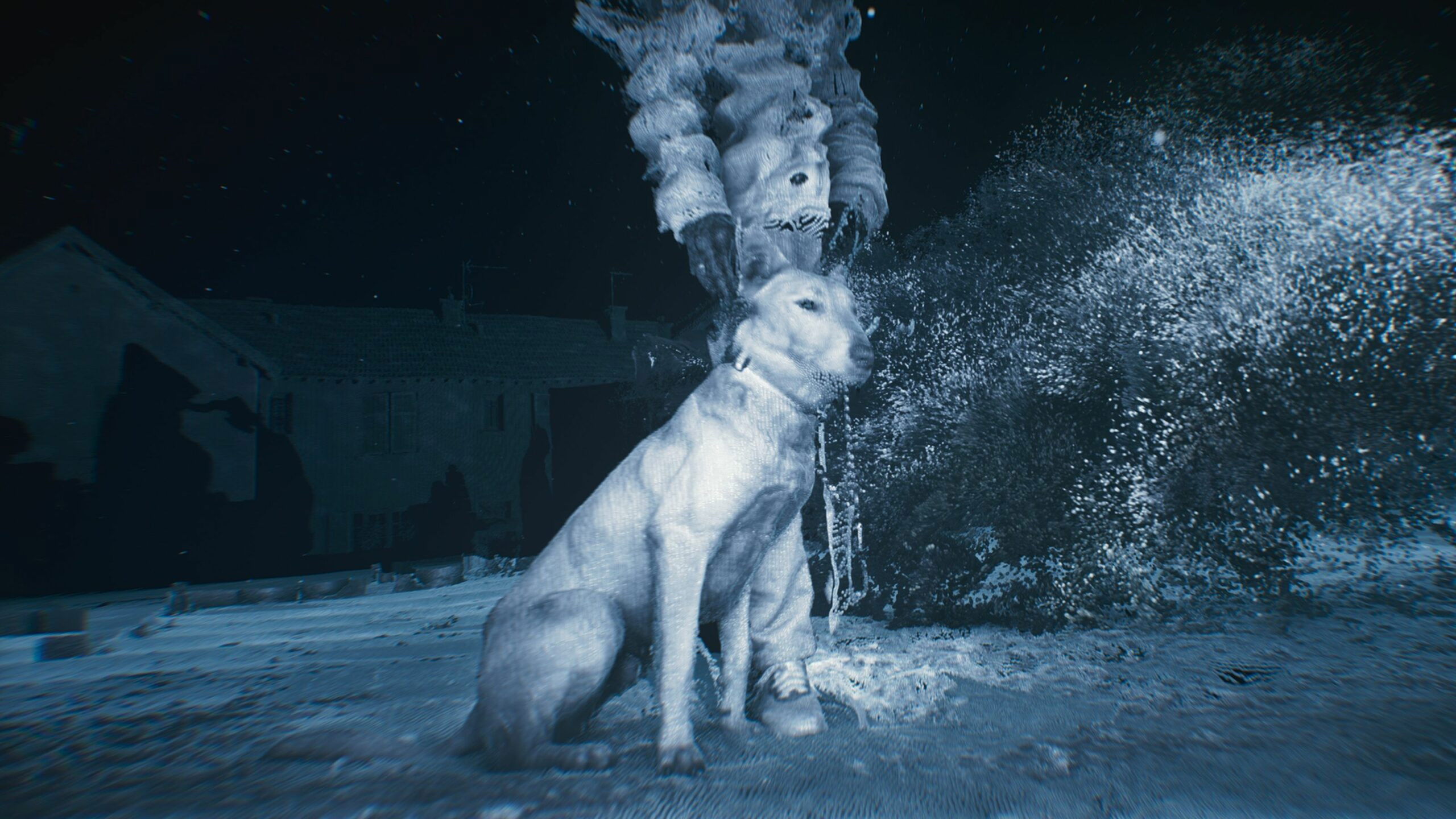 Backdrop for Genealogy of Violence