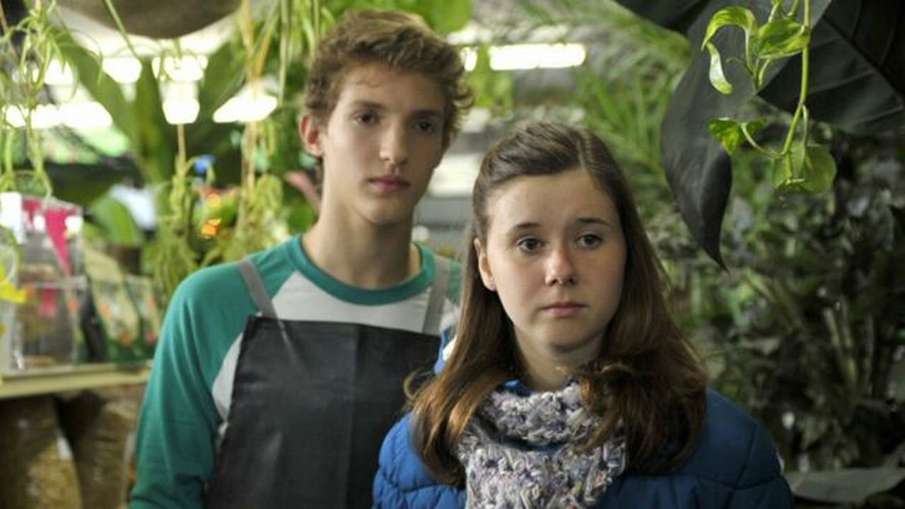 Backdrop for Aurélie Laflamme's Diary