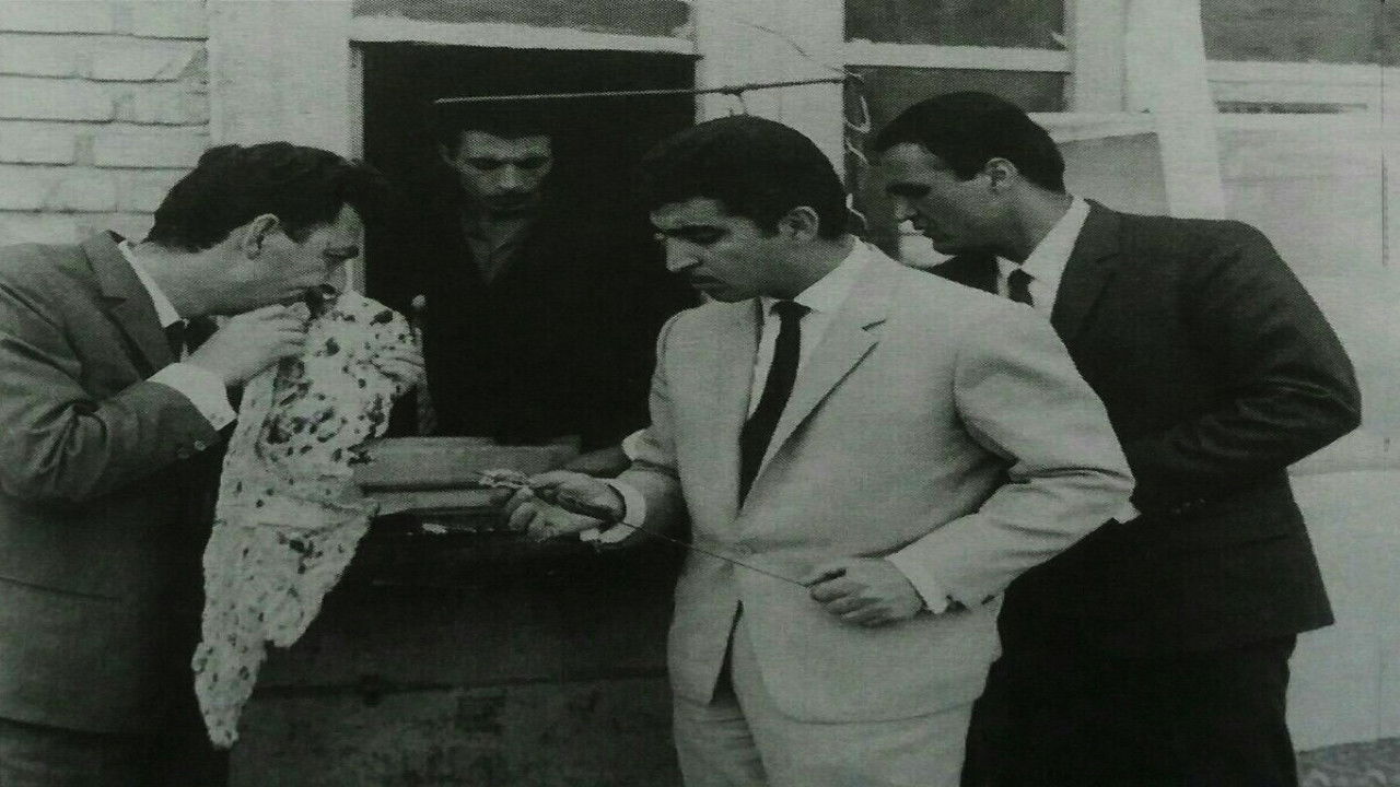 Backdrop for The Power of Love