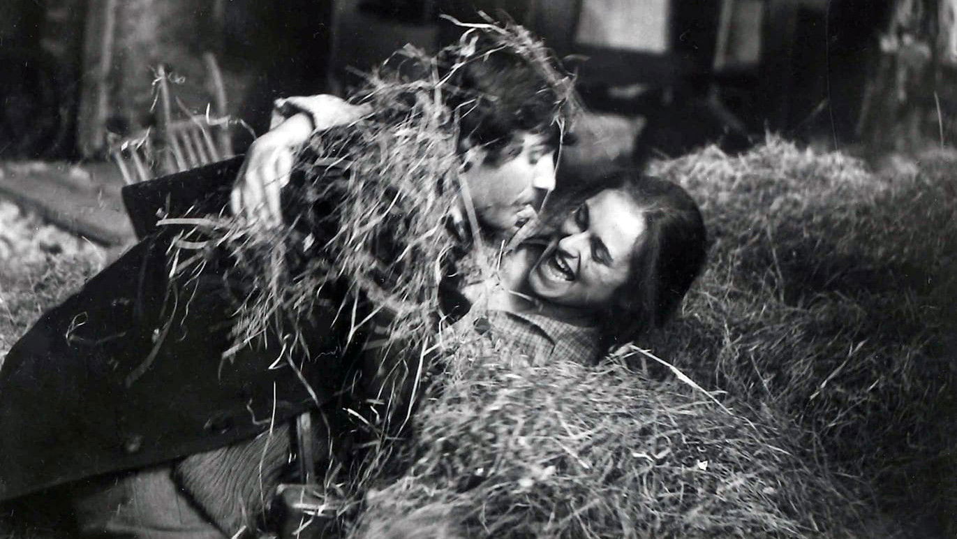 Backdrop for Red Wheat