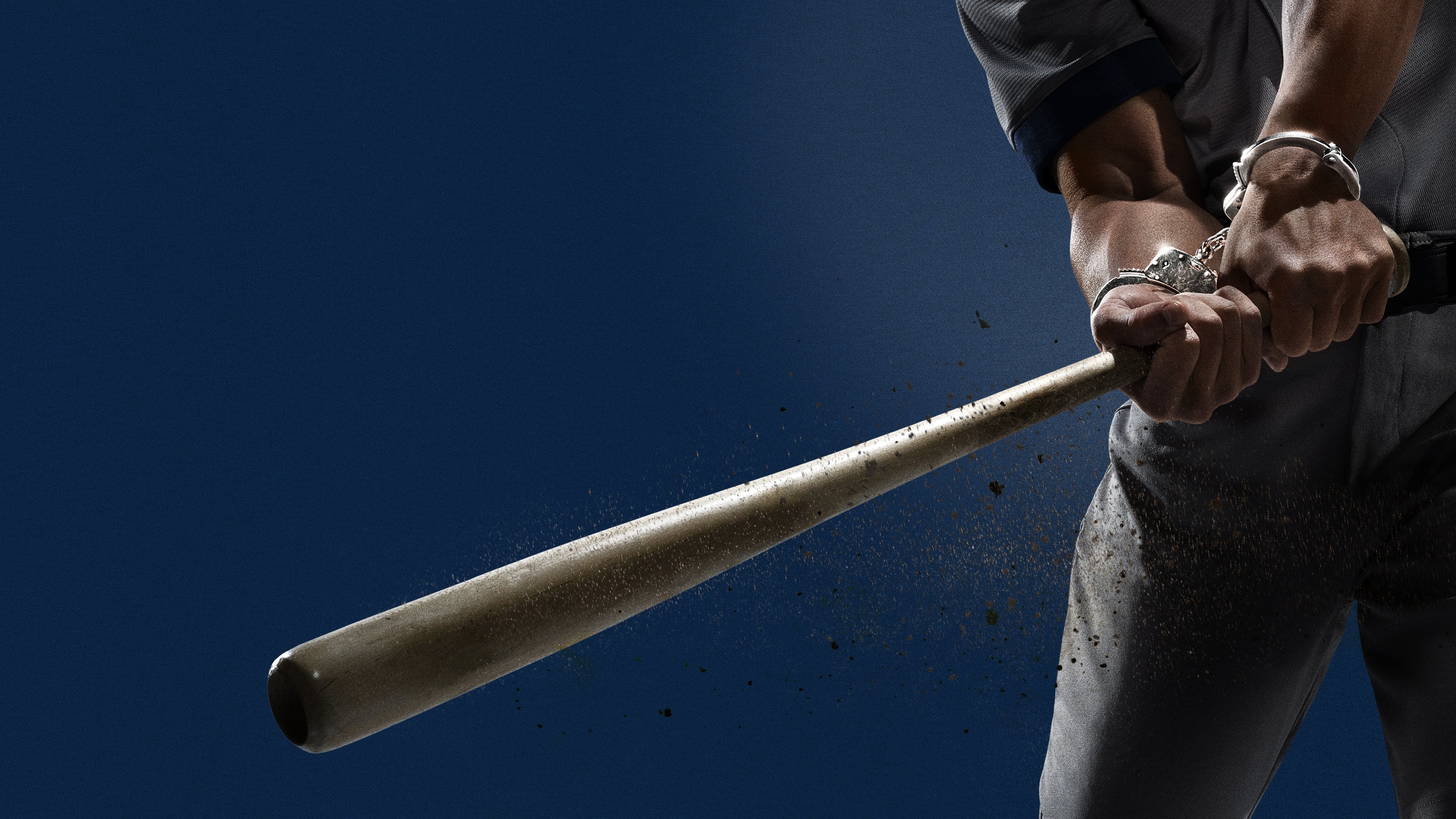 Backdrop for Bronx Zoo '90: Crime, Chaos and Baseball