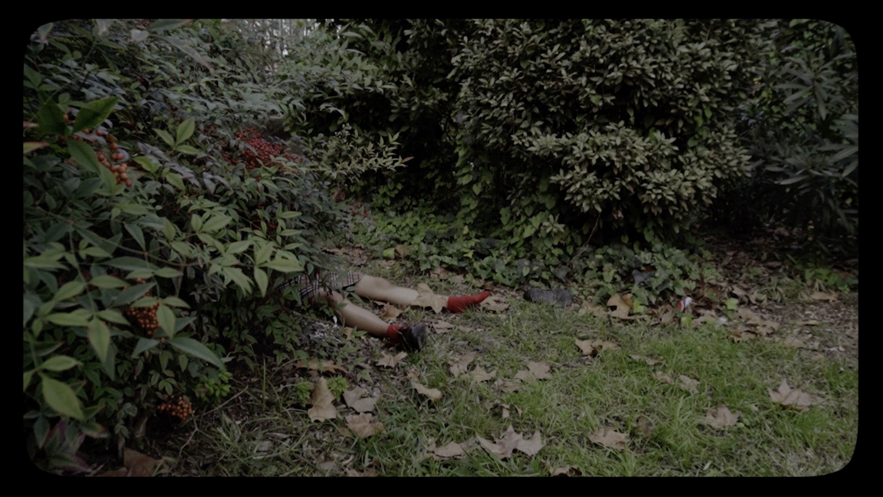 Backdrop for Bodies of Mary